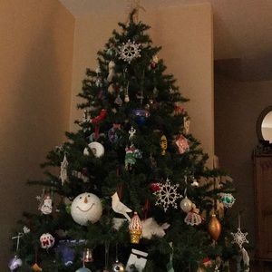 Meet your Posher, Ann